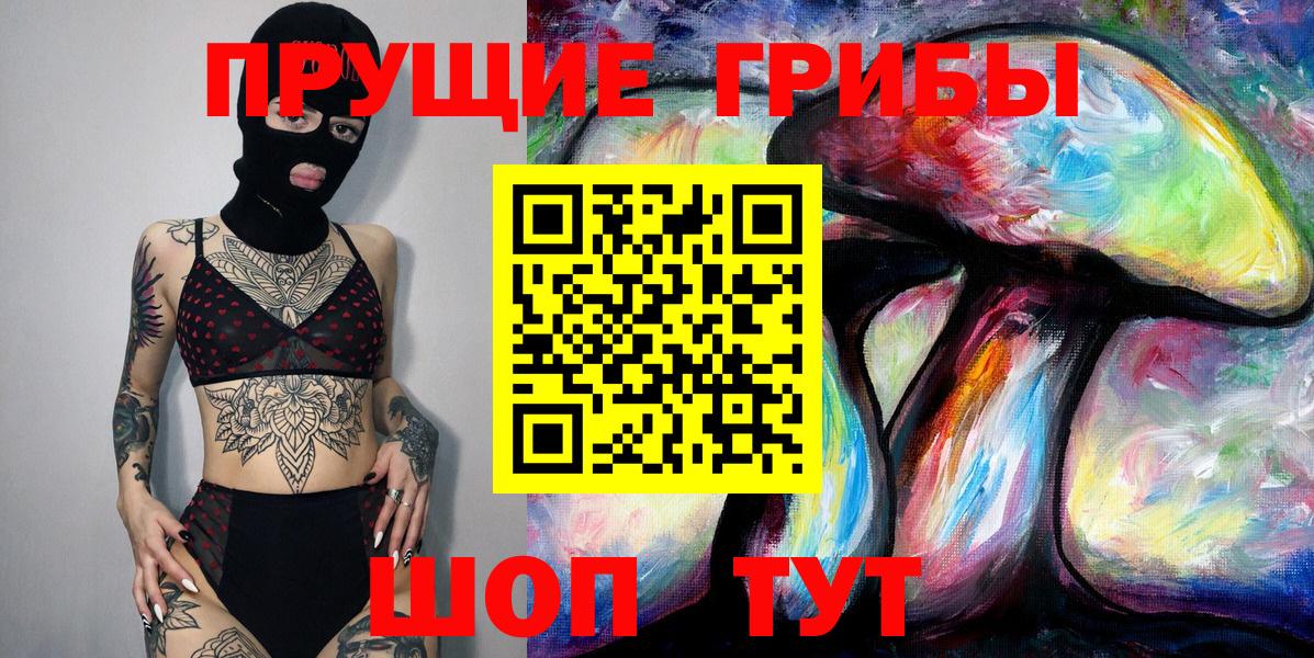 Тайшет  Галлюциногенные грибы Psilocybe  Вход с VPN 