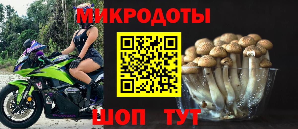 Псилоцибиновые грибы Magic Shrooms Тайшет
